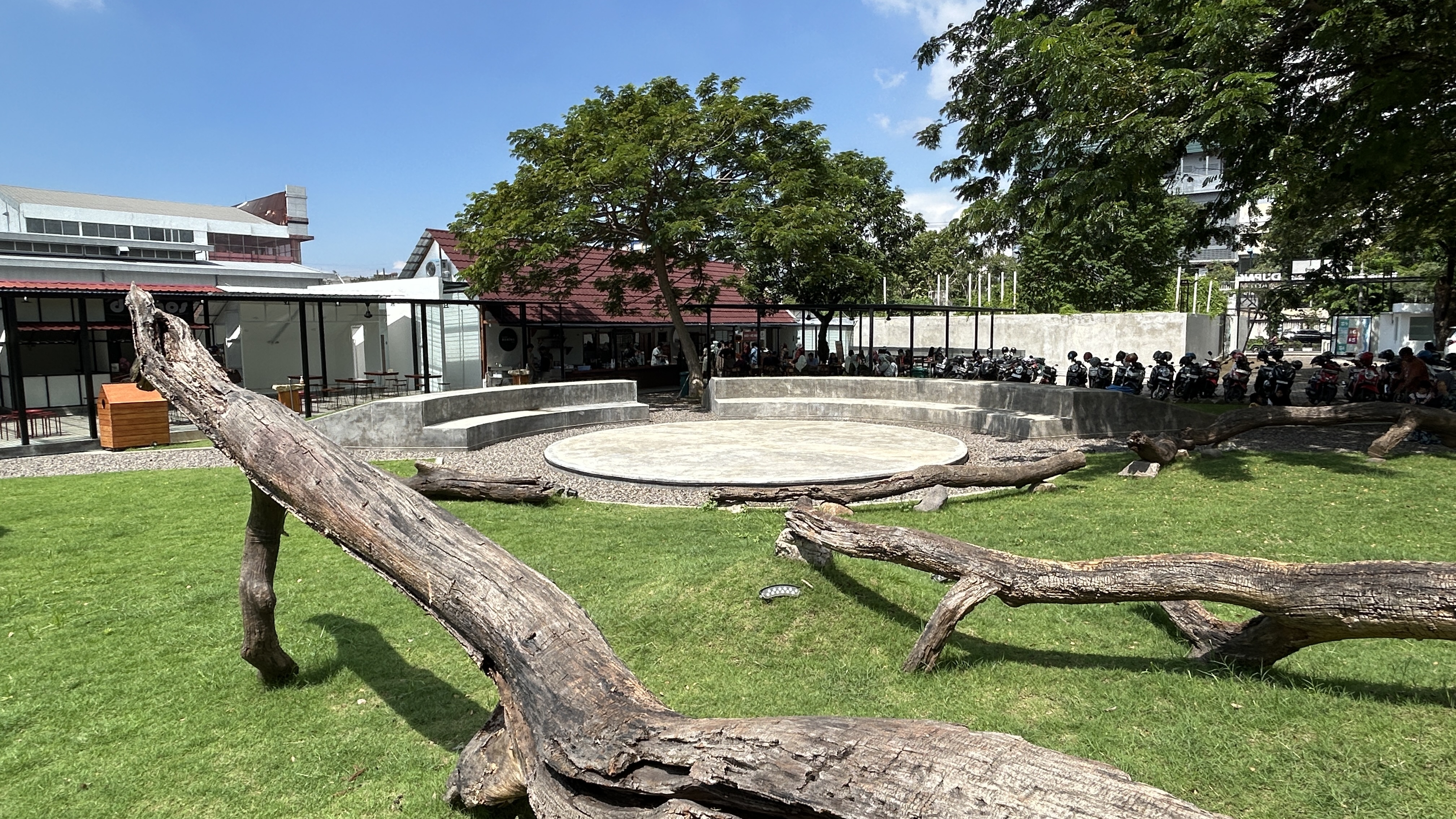 The open lawn at Dupak 36, with weathered tree trunks laid out as seating around the mini amphitheatre.